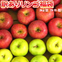 りんご 訳あり 福袋 3kg 青森もしくは北海道産 リンゴ 送料無料※沖縄は送料別途加算 キャンプ ハロウィン 秋の味覚 行楽