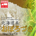 北海道産 おぼろづき15kg(5kg×3) 北海道米 おぼろづき おためし 送料無料※沖縄は送料別途加算