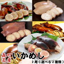 いかめし 森町 送料無料 2尾入×2袋(希望の種類を選択ください)ポスト投函 メール便