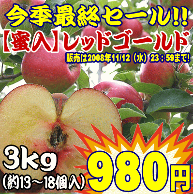 北海道七飯産　甘さ抜群！シャキシャキのりんご【蜜入り】レッドゴールド（13～18個入）3k前後