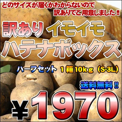 缫ǰạ̈㥬Ϥޤ!!ꥤ⥤...