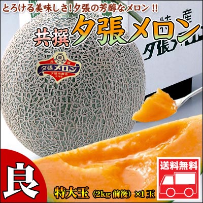 【共撰】【良品】夕張メロン特大玉 2kg前後（1玉）【送料無料】【楽ギフ_のし】【smtb-TK】北海道を代表する旬の果実♪夕張の芳醇なメロン♪