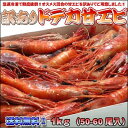 訳ありドデカ甘エビ1kg【送料無料】【smtb-TK】