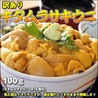 訳ありキタムラサキウニ 100g（塩水うに100g）