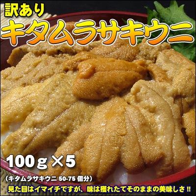 訳ありキタムラサキウニ（塩水うに100g×5）500g