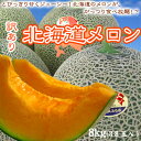 訳あり北海道メロン8kg【送料無料】訳あり/赤肉メロン/北海道メロン/メロン
