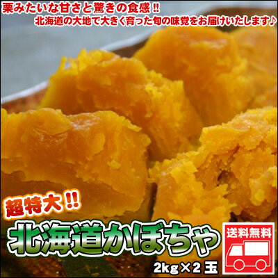 超特大!!北海道かぼちゃ　2kg×2玉【送料無料】【楽ギフ_のし】北の大地よりとっても甘くてホクホク♪極上のかぼちゃをお届けします!!