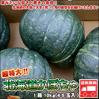 超特大!!北海道かぼちゃ　1箱10kg(4-5玉入)【送料無料】