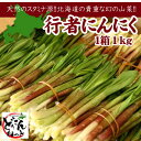 北海道行者にんにく　1kg「送料無料」