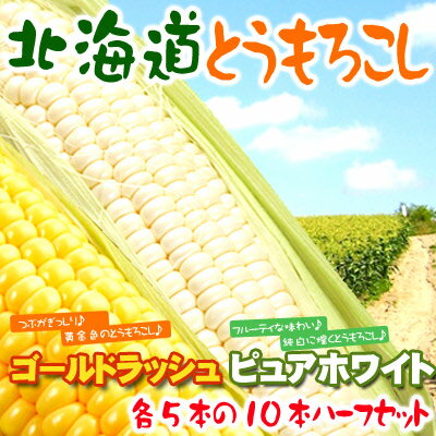 北海道とうもろこしハーフセット【送料無料】