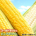 予約 ピュアホワイト ゴールドラッシュ 各5本 10本入 北...