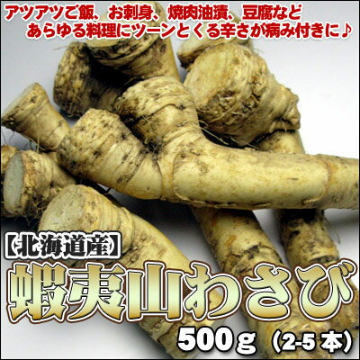 【北海道産】蝦夷山わさび500g