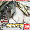 お買い物マラソン開催 鮮魚を急速冷凍!北海道お魚福袋2kg ...