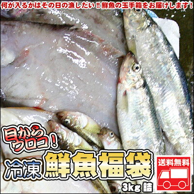 鮮魚を急速冷凍！北海道お魚福袋3kg 送料無料 ※沖縄は送料別途加算 ポイント消化 ゴルフ…...:dousan:10001455