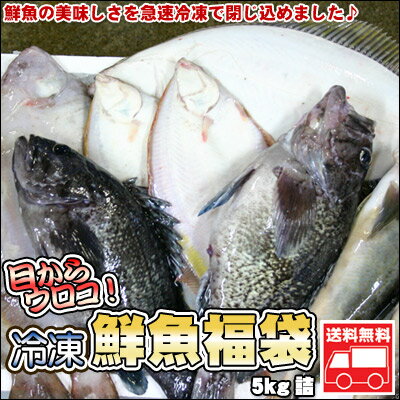 鮮魚を急速冷凍！北海道お魚福袋5kg 送料無料 ※沖縄は送料別途加算 ポイント消化 ゴルフ…...:dousan:10001456