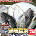 【14日20:00〜4/20 23:59!エントリーでポイン...