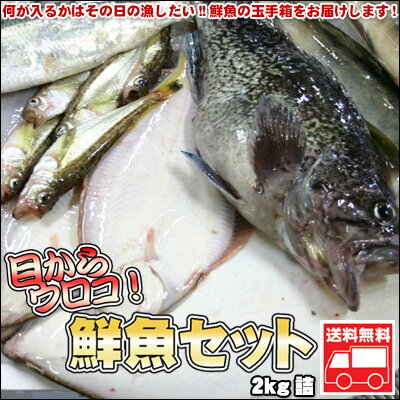 鮮魚セット 2kg 業務用 居酒屋 送料無料 北海道産 ※沖縄送料別途加算 ポイント消化 …...:dousan:10000711