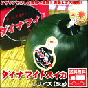 「ダイナマイトすいか」Lサイズ【送料無料】