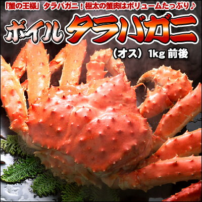ボイルタラバガニ（オス）1kg前後【楽ギフ_のし】「蟹の王様」タラバガニ！極太の蟹肉はボリュームたっぷり♪
