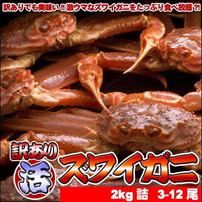【年始1月5日以降発送】訳あり活ズワイガニ2kg詰【送料無料】ずわいがに/ずわい蟹
