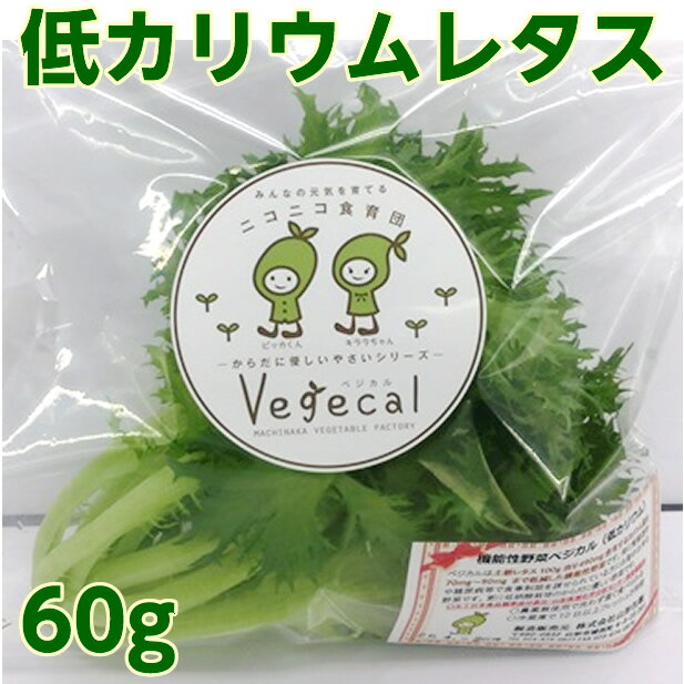 【次回入荷分のご予約受付中】低カリウムレタス ベジカル(Vegecal)60gパック腎臓透析や糖尿病...:dr-meal:10001886