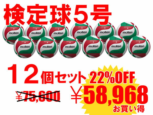 【送料無料】【ネームプリント代無料22%OFF】【12個セット】モルテン　molten フリスタテックバレーボール一般・大学・高校用　5号球 検定球　国際公認球　V5M5000【smtb-k】【kb】　