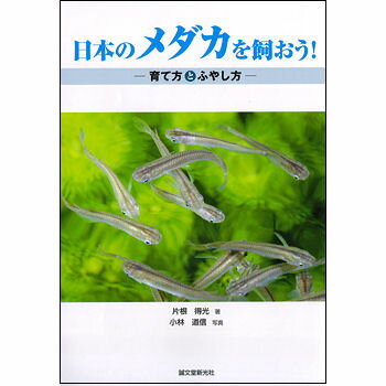 アクアリウム/熱帯魚/書籍　日本のメダカを飼おう！