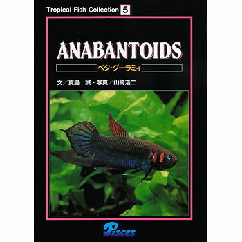 アクアリウム/熱帯魚/書籍　ピーシーズ　T.F.C　5　ベタ　グーラミィあす楽対応 熱帯魚 観賞魚 水草 水槽 アクアリウム用品 5,000円以上お買い上げで送料無料！