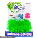 癒し水景 前景 リシア おもり付 【人工水草・レイアウト・ジェックス】