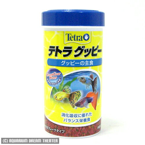 熱帯魚/餌 テトラ グッピー 75gあす楽対応 熱帯魚 観賞魚 水草 水槽 アクアリウム用品 5,000円以上お買い上げで送料無料！消化吸収に優れたバランス栄養食！