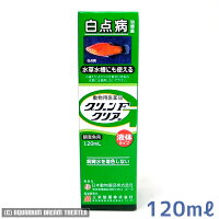 メダカの病気,白点病の薬,グリーンＦクリア,めだかの病気,ニチドウ 観賞魚用 グリーンFクリアー 120ml ,観賞魚の白点病の治療,魚病薬,水草に安心の薬,green　F　clear,通販,販売,メダカの飼育,メダカの育て方,購入