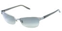 【ポイント最大10倍!】今回入荷は5本!お急ぎ下さい!【超特価64%OFF】Ray-Ban(レイバン)サングラス / RB3318 004/8E