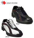    StXe[c@4WDXpCNX 3D5E L StV[Y@GSS-4004  GOLF STATES