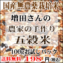 純国産：無農薬五穀米（増田さんの古代米）100gお試しパック！198円【送料無料】メール便で発送