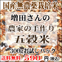 【国産：無農薬】:お試し300g増田さんの五穀米（古代米）【RCPapr28】【送料無料：メール便発送】「雑穀米」増田さんの手作り五穀米