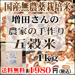 お買得1kg入り、五穀米（増田さんの古代米）農家の手づくり五穀米【RCPapr28】【送料無料】国産無農薬栽培5種類の古代米をブレンドした珍しく貴重な五穀米「雑穀米」