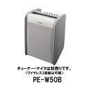 JVC KENWOOD ビクター/ケンウッド PE-W50B ポータブルワイヤレスアンプ 800MHz帯ワイヤレス対応 ※マイク・チューナー別売り
