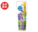 【送料無料】ゴールドパック 信州のぶどうジュース 90gパウチ×20本入 ※北海道・沖縄・離島は別途送料が必要。