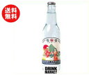 送料無料 【2ケースセット】友桝飲料 指宿温泉サイダー 330ml瓶×24本入×(2ケース) ※北海道・沖縄・離島は別途送料が必要。