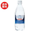 送料無料 【2ケースセット】赤穂化成 天海の水Drs’マグネース スパークリング 500mlペットボトル×24本入×(2ケース) ※北海道・沖縄・離島は別途送料が必要。