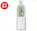送料無料 【2ケースセット】奥長良川名水 夢ありがとう 酸素イン 500mlペットボトル×24本入×(2ケース) ※北海道・沖縄・離島は別途送料が必要。