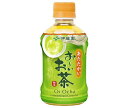【送料無料】伊藤園 【HOT用】お~いお茶 緑茶 275mlペットボトル×24本入 ※北海道・沖縄・離島は別途送料が必要。