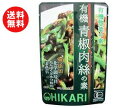 送料無料 【2ケースセット】光食品 有機惣菜の素 有機青椒肉絲の素 100gパウチ×24袋入×(2ケース) ※北海道・沖縄・離島は別途送料が必要。