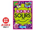 【全国送料無料】【ネコポス】ノーベル製菓 カメカメサワーズ(SOURS) グレープ味 45g×6個入