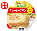 送料無料 【2ケースセット】ハウス食品 やさしくラクケア クリーミープリン カスタード風味63g×48(12×4)個入×(2ケース) ※北海道・沖縄・離島は別途送料が必要。