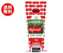 送料無料 ハグルマ JAS標準 トマトケチャップ 1kgチューブ×12本入 ※北海道・沖縄・離島は別途送料が必要。