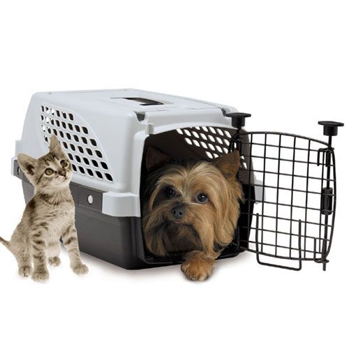 ڤƾפ¿ŪڥåȥڥڥåȴۡNOZTONOZpetsuiteڥåȥȡSν4.5kgޤǤΥڥåѡڥ󥻥롦ѹԲġۡڥڥåȴۡۤȵܤΤ뾦ʤΤƱǽǤ