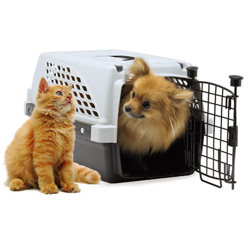 ڤƾפ¿ŪڥåȥڥڥåȴۡNOZTONOZpetsuiteڥåȥȡMν7.0kgޤǤΥڥåѡڥ󥻥롦ѹԲġۡڥڥåȴۡۤȵܤΤ뾦ʤΤƱǽǤ