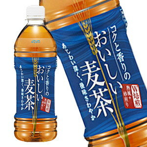 313вٳϡۥɡ  500ml24