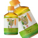 キリン ホット生茶 280ml×24本